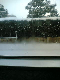 【写真】雪で動けない電車の窓から 2005-12-19撮影