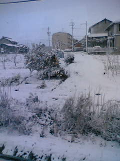 2006-12-29 美浜町では初雪が降った。